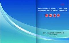 机电安装工程类标书